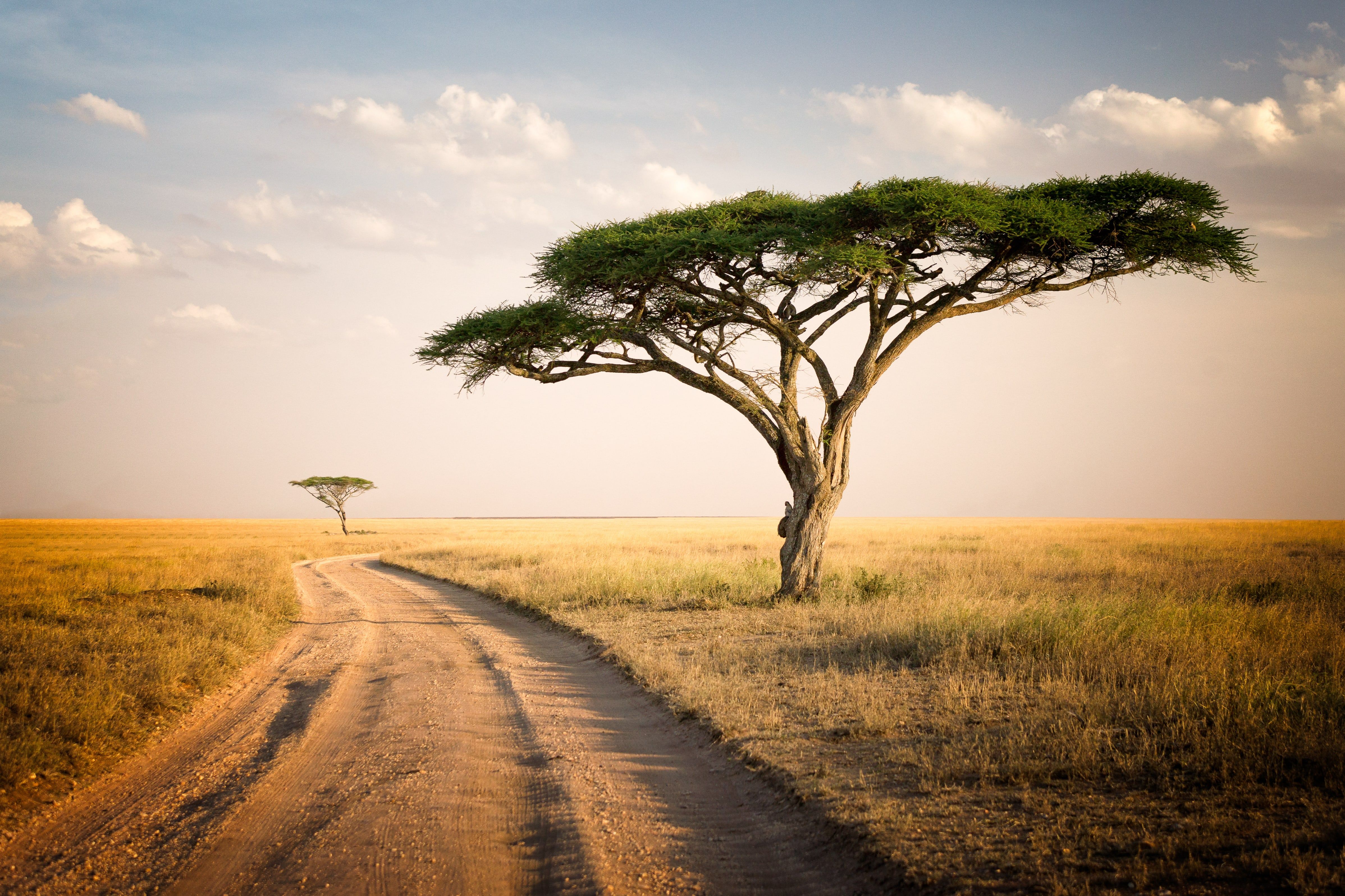 Voyage Afrique